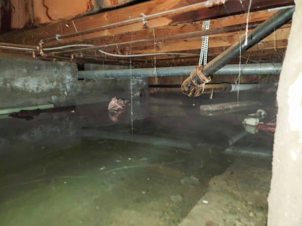 Best Emergency water extraction  in Berkeley, CA