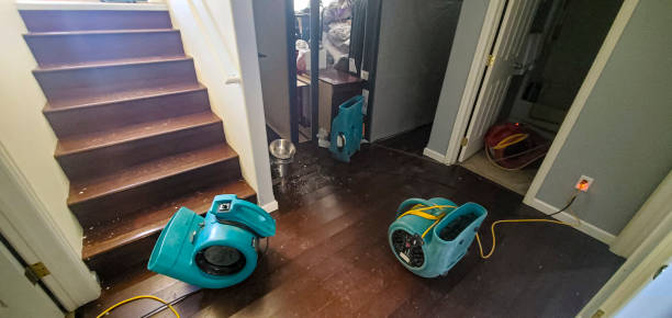 Best Water damage restoration near me  in Berkeley, CA