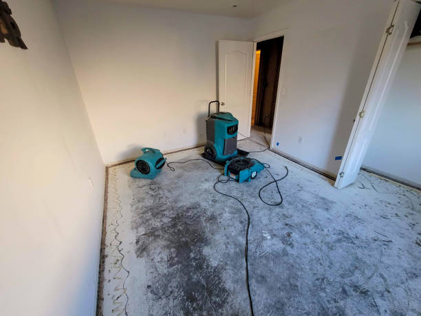 Best Mold removal after water damage  in Berkeley, CA
