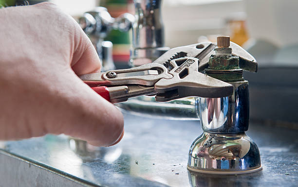 Best Mold removal after water damage  in Berkeley, CA