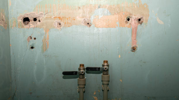 Best Sewage cleanup and water damage restoration  in Berkeley, CA