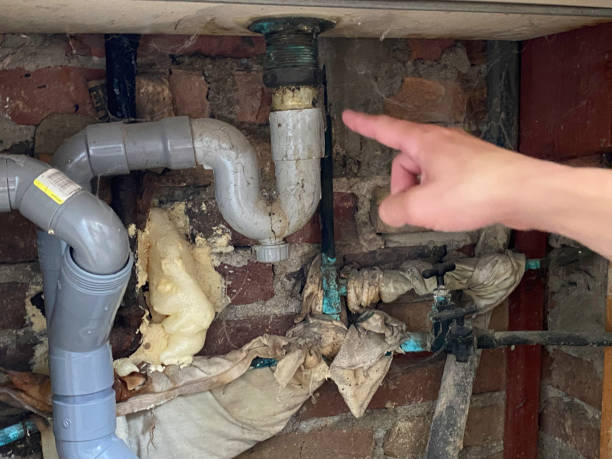 Best Professional water damage repair  in Berkeley, CA