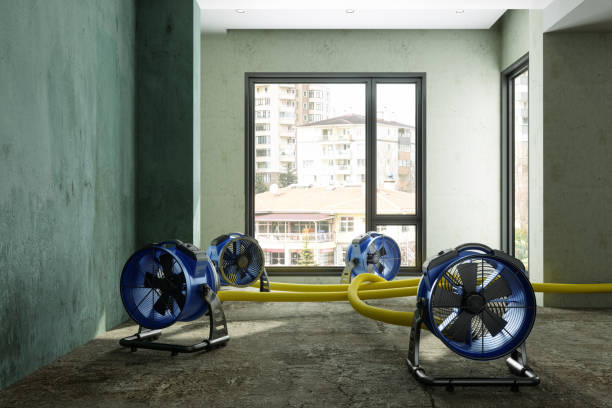 Best Water damage contractors near me  in Berkeley, CA