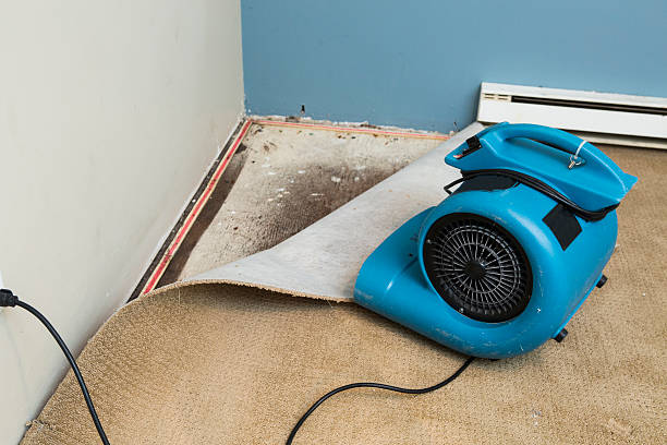 Best Sewage cleanup and water damage restoration  in Berkeley, CA